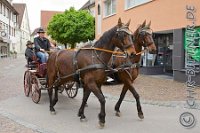 A CB 0200    © Daniela und Christian Bittner u.a.    Alle Inhalte auf diesen Webseiten sind urheberrechtlich geschützt. Kein Teil der hier abrufbaren Inhalte darf ohne ausdrückliche schriftliche Erlaubnis des Fotografen reproduziert, gedruckt, übersetzt, in digitaler Form weiterbearbeitet, in Archive übernommen oder Dritten unter einer fremden URL zugänglich gemacht werden.   Fotografen: AE .. A. Esdar, AH .. A. Helmle, CB .. Chr. Bittner, DB .. D. Bittner, LB .. L. Bittner, BB .. B. Boschatzke,   HZ .. H. Ziegelbauer, IM .. I. Maierhöfer, KH .. K. Hauber, LE .. L. Esdar, ME .. M. Esdar, MEr .. M. Erhard,   RM .. R. Maierhöfer, SD .. S. Demchuk, TS .. T. Spaag-Wagner, UL .. U. Ladenburger, JW .. J. Wecker, EB .. E. Boschatzke,   JA .. J. Abele, MW .. Maria Walter, MB .. Manuel Bühler, GG .. Georg Gösele, CBa .. Christoph Bayrle, KZW .. Kathrin Zwerger, PG .. Peter Gösele, CME .. Carmen Müller-Epacher, GB .. Gebhard Bühler, AL .. Alisha Ladenburger.