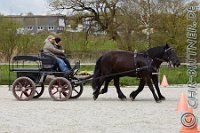 B CB 0098    © Daniela und Christian Bittner u.a.    Alle Inhalte auf diesen Webseiten sind urheberrechtlich geschützt. Kein Teil der hier abrufbaren Inhalte darf ohne ausdrückliche schriftliche Erlaubnis des Fotografen reproduziert, gedruckt, übersetzt, in digitaler Form weiterbearbeitet, in Archive übernommen oder Dritten unter einer fremden URL zugänglich gemacht werden.   Fotografen: AE .. A. Esdar, AH .. A. Helmle, CB .. Chr. Bittner, DB .. D. Bittner, LB .. L. Bittner, BB .. B. Boschatzke,   HZ .. H. Ziegelbauer, IM .. I. Maierhöfer, KH .. K. Hauber, LE .. L. Esdar, ME .. M. Esdar, MEr .. M. Erhard,   RM .. R. Maierhöfer, SD .. S. Demchuk, TS .. T. Spaag-Wagner, UL .. U. Ladenburger, JW .. J. Wecker, EB .. E. Boschatzke,   JA .. J. Abele, MW .. Maria Walter, MB .. Manuel Bühler, GG .. Georg Gösele, CBa .. Christoph Bayrle, KZW .. Kathrin Zwerger, PG .. Peter Gösele, CME .. Carmen Müller-Epacher, GB .. Gebhard Bühler, AL .. Alisha Ladenburger.