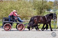 199 A DB 0764    © Daniela und Christian Bittner u.a.    Alle Inhalte auf diesen Webseiten sind urheberrechtlich geschützt. Kein Teil der hier abrufbaren Inhalte darf ohne ausdrückliche schriftliche Erlaubnis des Fotografen reproduziert, gedruckt, übersetzt, in digitaler Form weiterbearbeitet, in Archive übernommen oder Dritten unter einer fremden URL zugänglich gemacht werden.   Fotografen: AE .. A. Esdar, AH .. A. Helmle, CB .. Chr. Bittner, DB .. D. Bittner, LB .. L. Bittner, BB .. B. Boschatzke,   HZ .. H. Ziegelbauer, IM .. I. Maierhöfer, KH .. K. Hauber, LE .. L. Esdar, ME .. M. Esdar, MEr .. M. Erhard,   RM .. R. Maierhöfer, SD .. S. Demchuk, TS .. T. Spaag-Wagner, UL .. U. Ladenburger, JW .. J. Wecker, EB .. E. Boschatzke,   JA .. J. Abele, MW .. Maria Walter, MB .. Manuel Bühler, GG .. Georg Gösele, CBa .. Christoph Bayrle, KZW .. Kathrin Zwerger, PG .. Peter Gösele, CME .. Carmen Müller-Epacher, GB .. Gebhard Bühler, AL .. Alisha Ladenburger.