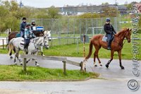 244 A CB 405    © Daniela und Christian Bittner u.a.    Alle Inhalte auf diesen Webseiten sind urheberrechtlich geschützt. Kein Teil der hier abrufbaren Inhalte darf ohne ausdrückliche schriftliche Erlaubnis des Fotografen reproduziert, gedruckt, übersetzt, in digitaler Form weiterbearbeitet, in Archive übernommen oder Dritten unter einer fremden URL zugänglich gemacht werden.   Fotografen: AE .. A. Esdar, AH .. A. Helmle, CB .. Chr. Bittner, DB .. D. Bittner, LB .. L. Bittner, BB .. B. Boschatzke,   HZ .. H. Ziegelbauer, IM .. I. Maierhöfer, KH .. K. Hauber, LE .. L. Esdar, ME .. M. Esdar, MEr .. M. Erhard,   RM .. R. Maierhöfer, SD .. S. Demchuk, TS .. T. Spaag-Wagner, UL .. U. Ladenburger, JW .. J. Wecker, EB .. E. Boschatzke,   JA .. J. Abele, MW .. Maria Walter, MB .. Manuel Bühler, GG .. Georg Gösele, CBa .. Christoph Bayrle, KZW .. Kathrin Zwerger, PG .. Peter Gösele, CME .. Carmen Müller-Epacher, GB .. Gebhard Bühler, AL .. Alisha Ladenburger.