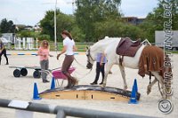 Working Equitation