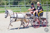 104 B DB 0420    © Daniela und Christian Bittner u.a.    Alle Inhalte auf diesen Webseiten sind urheberrechtlich geschützt. Kein Teil der hier abrufbaren Inhalte darf ohne ausdrückliche schriftliche Erlaubnis des Fotografen reproduziert, gedruckt, übersetzt, in digitaler Form weiterbearbeitet, in Archive übernommen oder Dritten unter einer fremden URL zugänglich gemacht werden.   Fotografen: AE .. A. Esdar, AH .. A. Helmle, CB .. Chr. Bittner, DB .. D. Bittner, LB .. L. Bittner, BB .. B. Boschatzke,   HZ .. H. Ziegelbauer, IM .. I. Maierhöfer, KH .. K. Hauber, LE .. L. Esdar, ME .. M. Esdar, MEr .. M. Erhard,   RM .. R. Maierhöfer, SD .. S. Demchuk, TS .. T. Spaag-Wagner, UL .. U. Ladenburger, JW .. J. Wecker, EB .. E. Boschatzke,   JA .. J. Abele, MW .. Maria Walter, MB .. Manuel Bühler, GG .. Georg Gösele, CBa .. Christoph Bayrle, KZW .. Kathrin Zwerger, PG .. Peter Gösele, CME .. Carmen Müller-Epacher, GB .. Gebhard Bühler, AL .. Alisha Ladenburger.