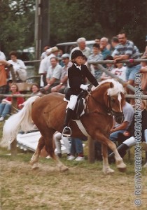 Birgit Bullinger auf ihrem Haflinger