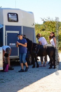 Nach getaner Arbeit werden die Ponys von Familie Esdar versorgt...