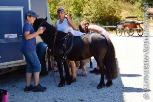 Nach getaner Arbeit werden die Ponys von Familie Esdar versorgt...