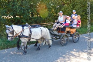 Eine Kutschfahrt, die ist toll... Andrea Esdar und ihre beiden Shettys fuhren mit den glücklichen Kindern in den Wald...