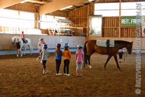 Voltigieren auf Caretina und Reiten auf Jacko...