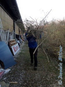 Andere, hier Manuel Bühler, haben diese Äste dann nach vorne transportiert zum Laster. Manchmal war außer Ästen keiner mehr zu erkennen....