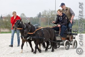 In den Händen der erfahrenen Trainerin spurt der Kleine..