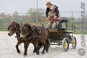 Brigitte Schmid mit ihren zweiten zwei Ponys...