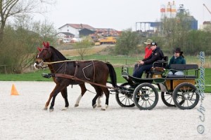 August Wolpert hat der Trainerin die Leinen überlassen...