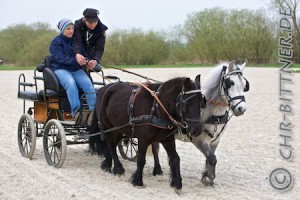 Andrea Esdar mit ihren Shettys