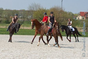 Das komplette Team Best Agers, hier Nadine Pauls auf Davica de Viva M (Fuchs, Reiterin in rot), Barbara Zeller auf Ronda (Pferd schwarz, weiße Schabracke), Anette Schmid auf New Darling (Pferd schwarz, dunkle Schabracke) und Julia Heindel auf Lena (Fuchs)