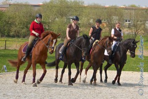 Das komplette Team Best Agers, hier Nadine Pauls auf Davica de Viva M (Fuchs, Reiterin in rot), Barbara Zeller auf Ronda (Pferd schwarz, weiße Schabracke), Anette Schmid auf New Darling (Pferd schwarz, dunkle Schabracke) und Julia Heindel auf Lena (Fuchs)