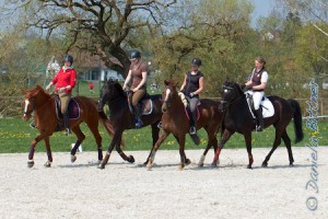 Das komplette Team Best Agers, hier Nadine Pauls auf Davica de Viva M (Fuchs, Reiterin in rot), Barbara Zeller auf Ronda (Pferd schwarz, weiße Schabracke), Anette Schmid auf New Darling (Pferd schwarz, dunkle Schabracke) und Julia Heindel auf Lena (Fuchs)