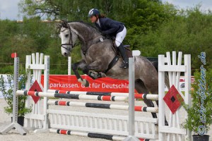 Kathrin Heider auf Quantera in der Springpferdeprüfung Klasse A. Sie siegte in ihrer Abteilung...