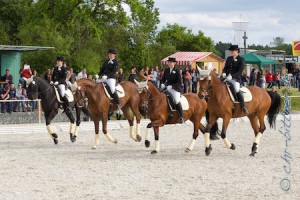 Das Siegerteam des Ostalb-Dressurcups, Team Schönhardter Pferdehof....