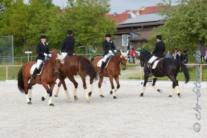 Nochmals der Sieger des Ostalb-Dressurcups, das Team Schönhardter Pferdehof...