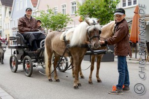 Familie Maier aus Rattstadt mit ihren Classic-Ponys..