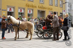 Familie Eiberger mit ihren Haflingern bekommen vom OB Karl Hilsenbek ihre Schleife..