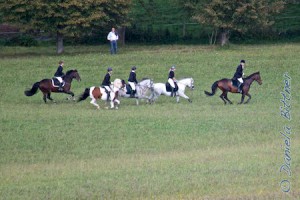 Unten auf der Wiese ging schon die erste Galoppstrecke los...