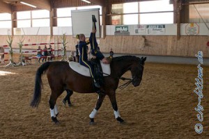 Die Nachwuchsgruppe beim Galopp-Schritt-Wettbewerb...