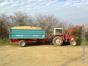 Auf dem Hänger vom Traktor ist noch ein Rest...