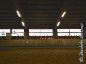 Hier ein kleiner Blick zur Deko. Sogar ein mit Kugeln geschmückter Baum ziert die Halle.